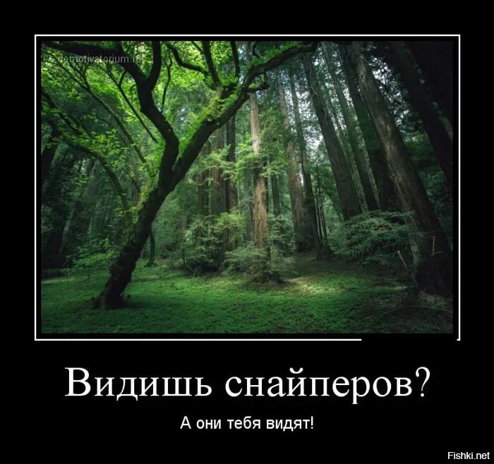 Выражение идите лесом