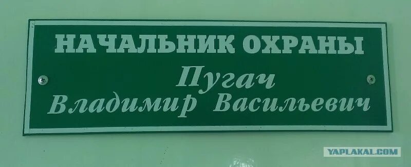 Начальник охраны табличка. Начальник охраны надпись. Профессия начальник охраны. Табличка начальник строительства.