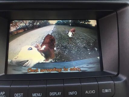 Surrounding перевод на русский язык