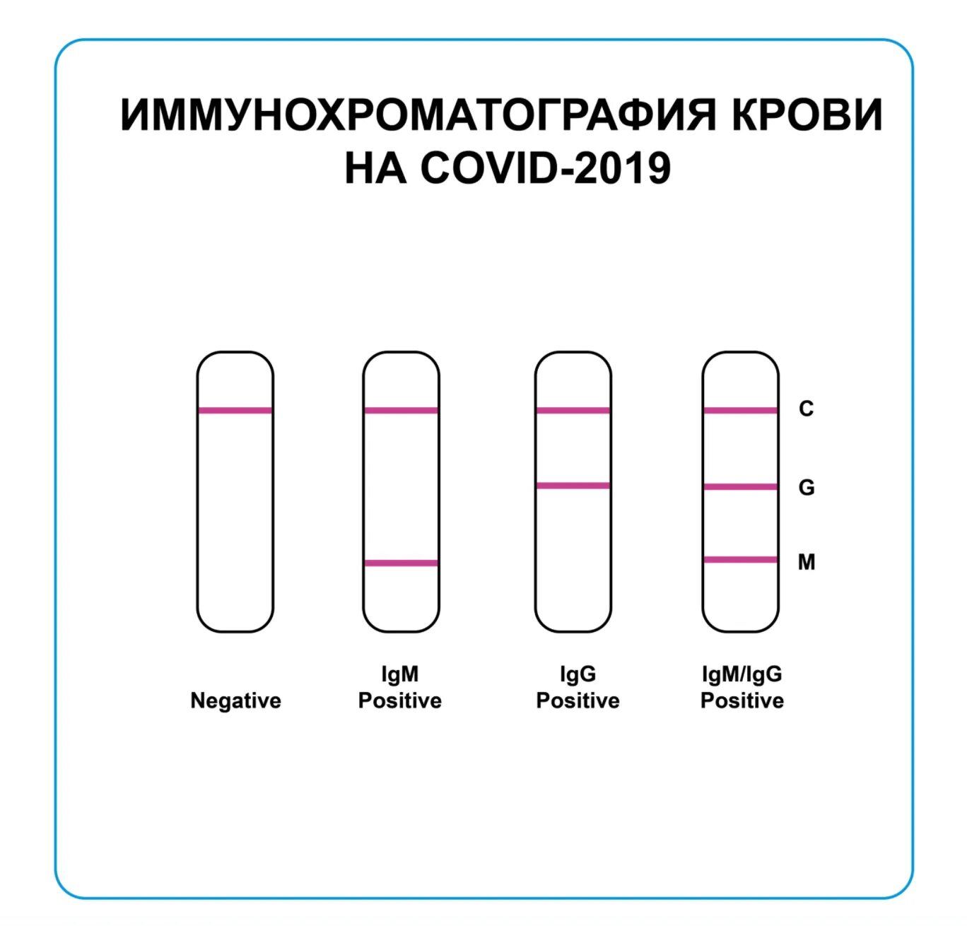 Иммунохроматографический анализ на коронавирус. Результаты экспресс теста. ИХА тест на коронавирус. Экспресс тест на коронавирус алгоритм.