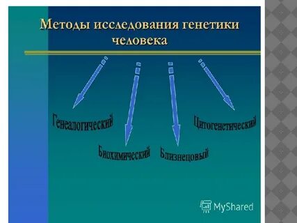 В генетике человека используют методы