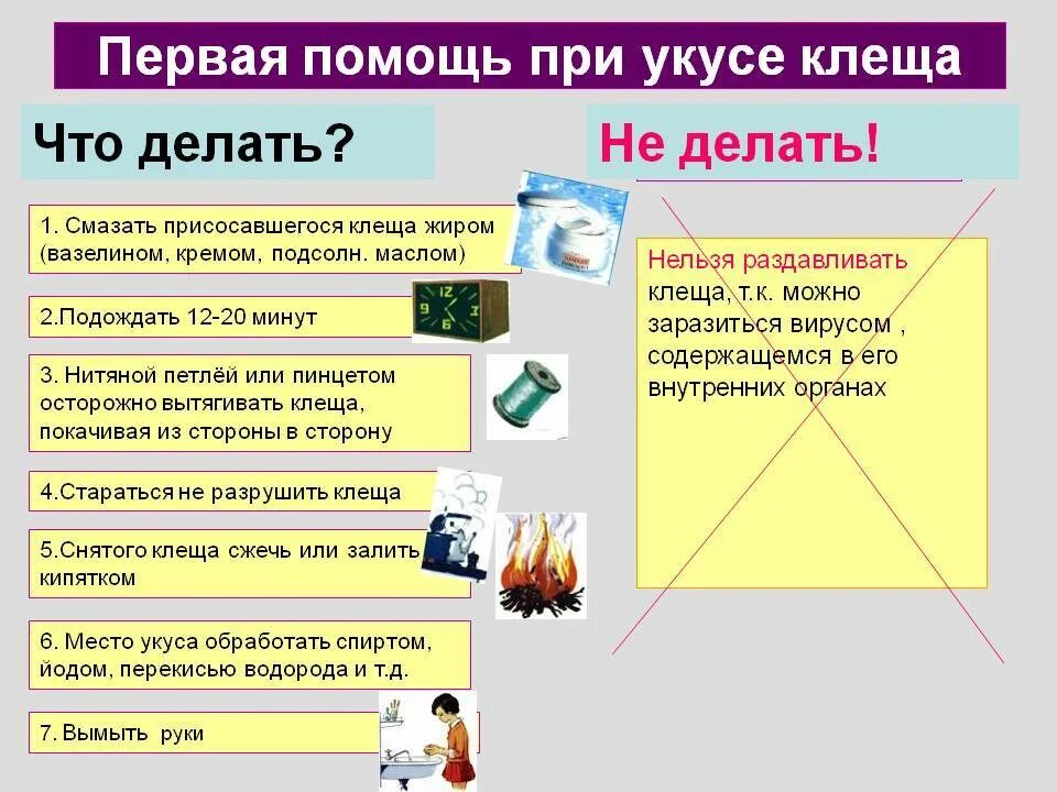 Первая помощь при укусе человека. Алгоритм оказания первой помощи при укусах клещей. Последовательность оказания помощи при укусе клеща. Алгоритм оказания первой помощи при укусе клеща. Алгоритм оказания первой медицинской помощи при укусе клеща.