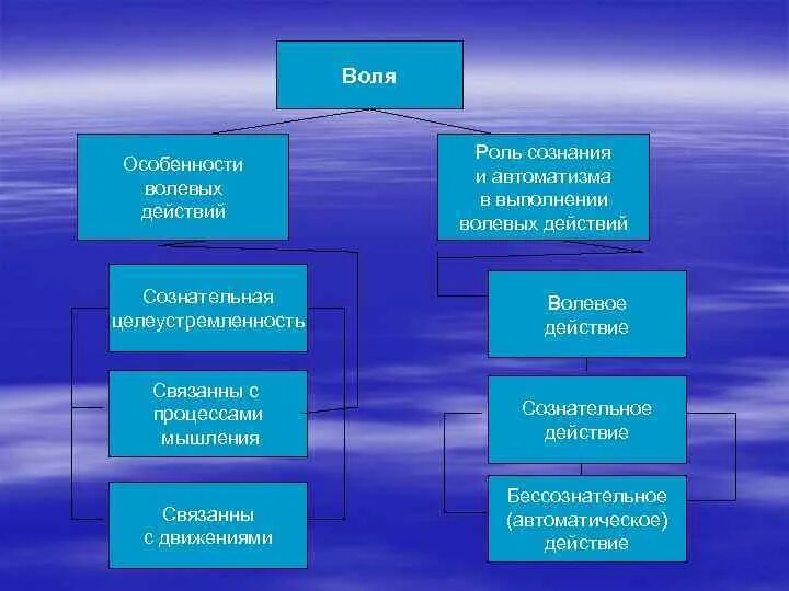 Воля это регулирование своим поведением. Особенности воли. Волевые особенности. Особенности воли в психологии. Характеристика воли.