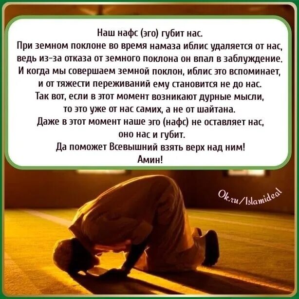 Слова при земном поклоне. Что говорить при земном поклоне. Земной поклон в намазе. Земной поклон поклон в намазе. Ахшам намазы ничэ рэкагать