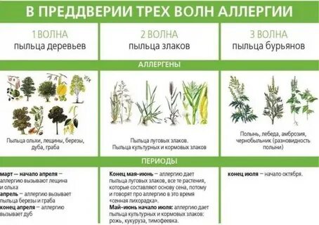 Аллергия на растения
