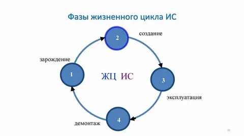 Определить жизненный цикл системы