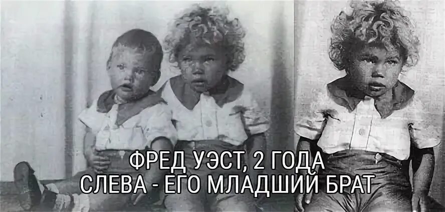 История фреда