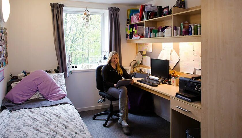 Peeping dorm manager читы