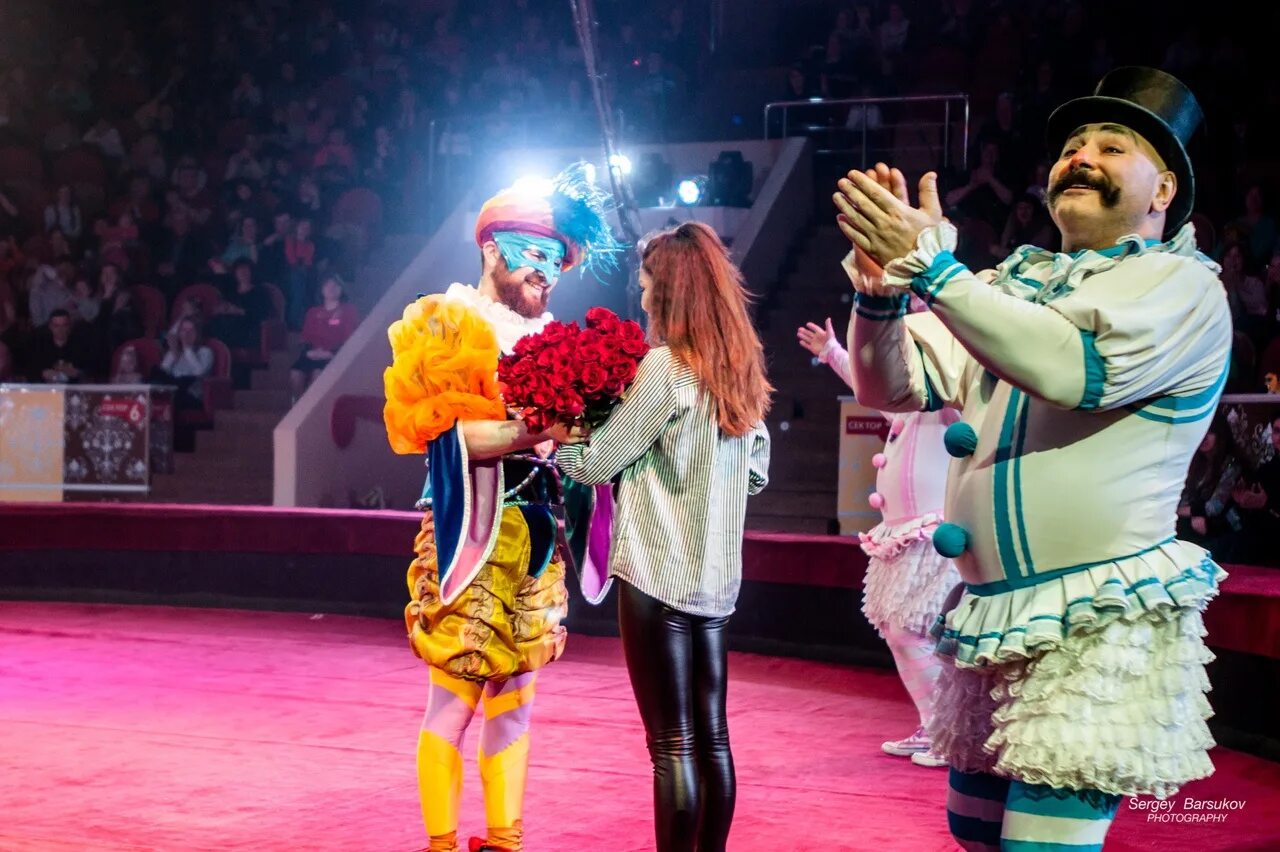 Цирк дю солей акробаты. Минский цирк. Цирковое предложения. Вольтижировка в цирке. Лошади в цирке.