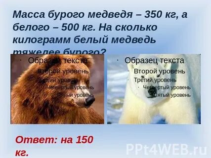 Сколько весит бурый