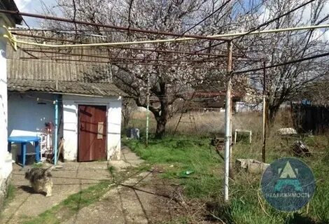 Погода цибанобалка анапский