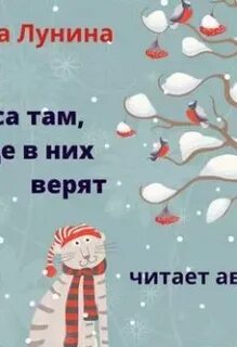Где чудеса там мало складу