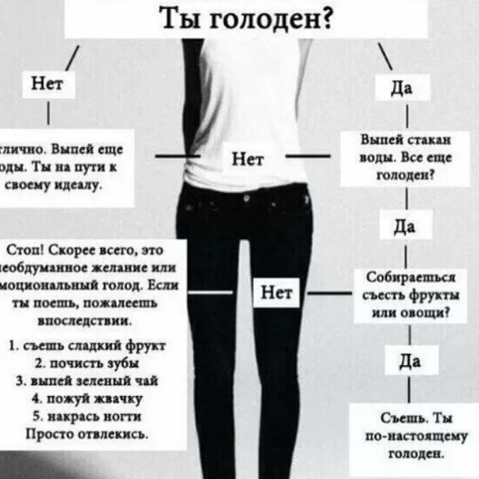 Рацион анорексички. Диаетадля анорексички. Как похудеть до анорексии советы. Диета анорексички анорексичная нимфа. Похудение до анорексии.