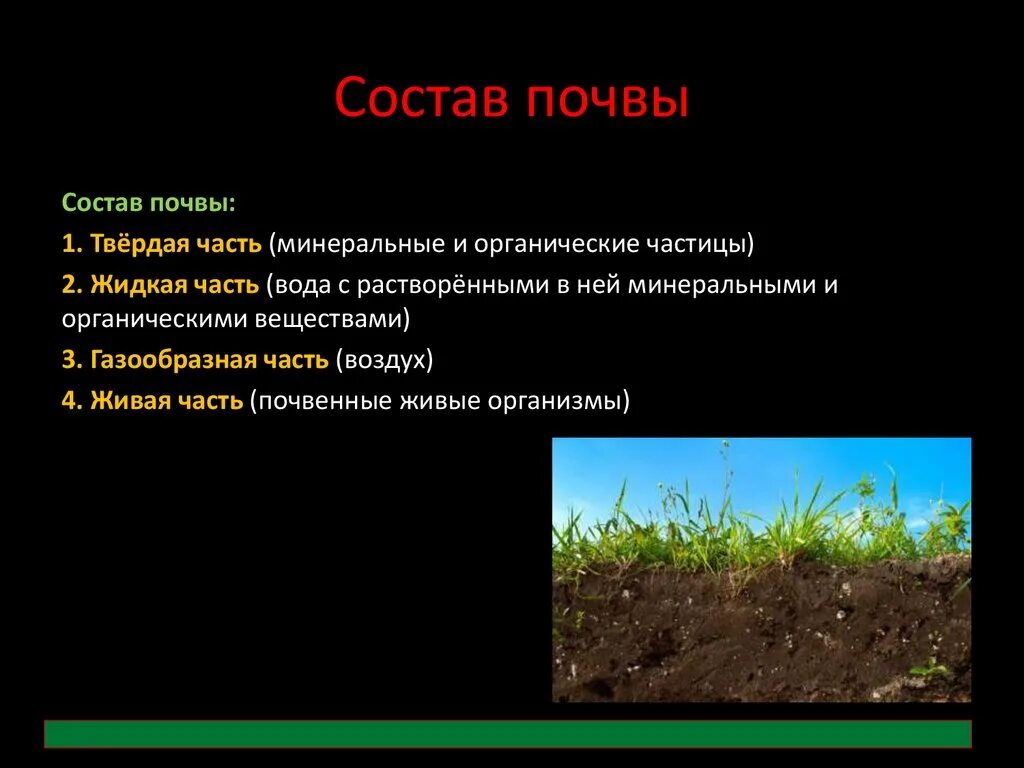 Состав почвы. Почвенный состав. Основное свойство почвы плодородие. Почва состав почвы.