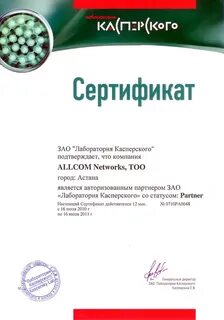 Partner kaspersky