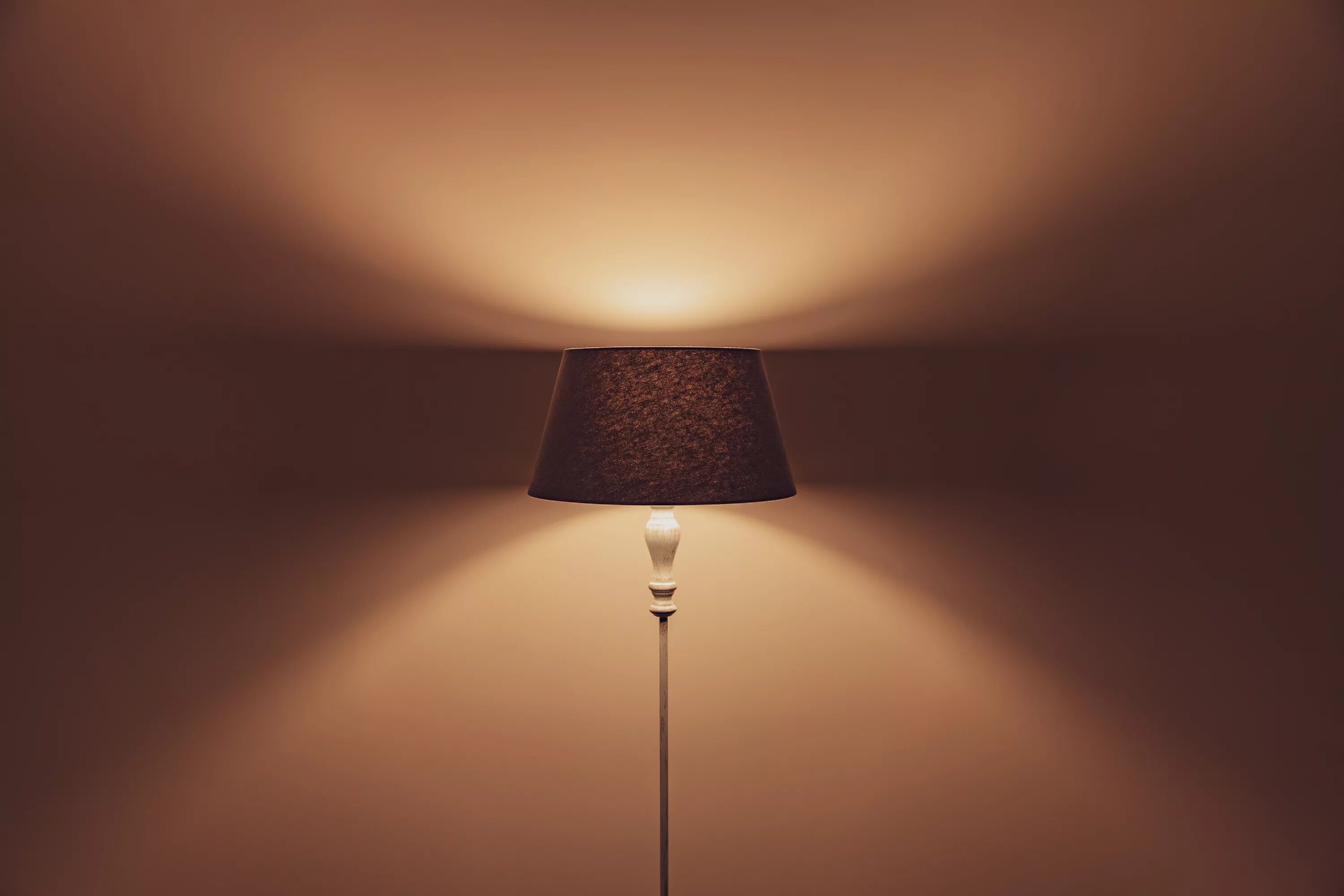 Where is lamp