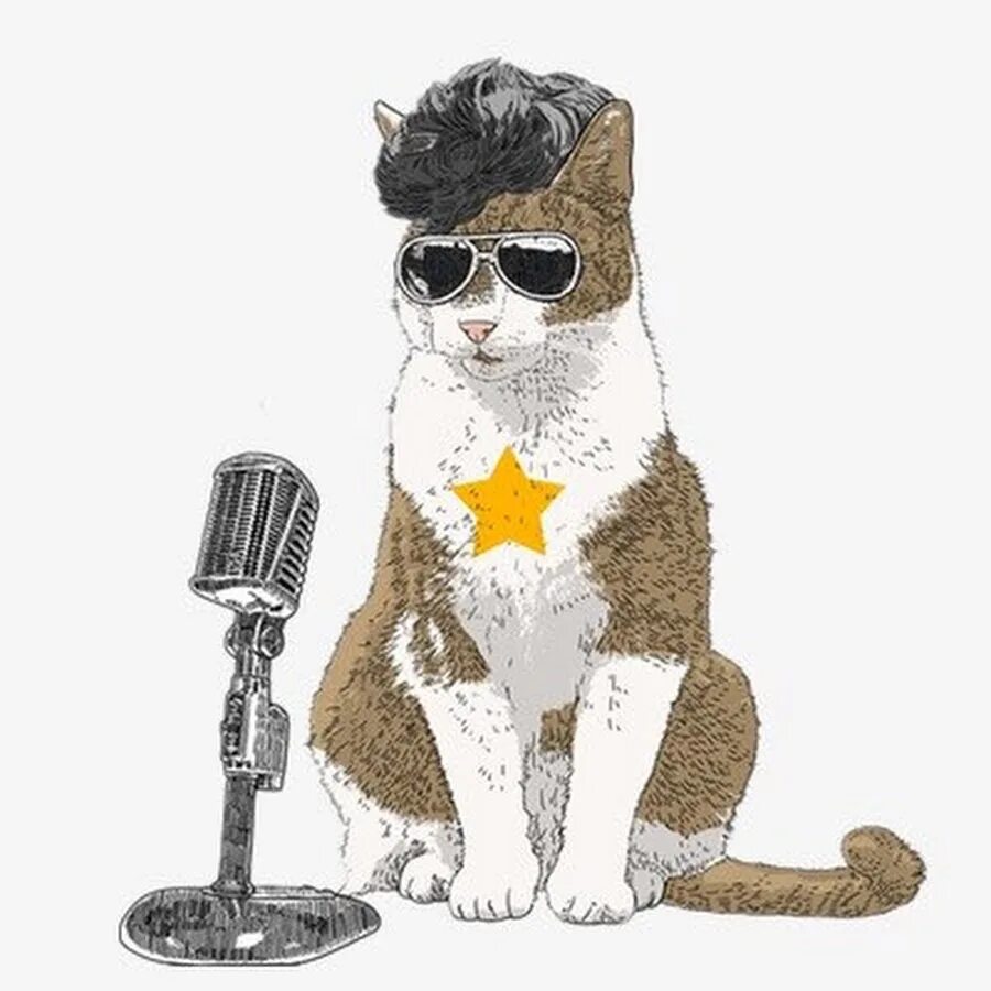 Кот поет в микрофон. Кот Элвис Пресли. Микро кот. Кот с микрофоном. Кот поет.