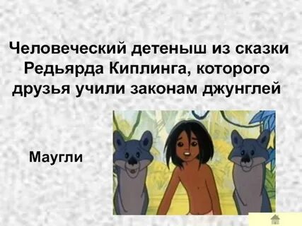 Законы джунглей маугли