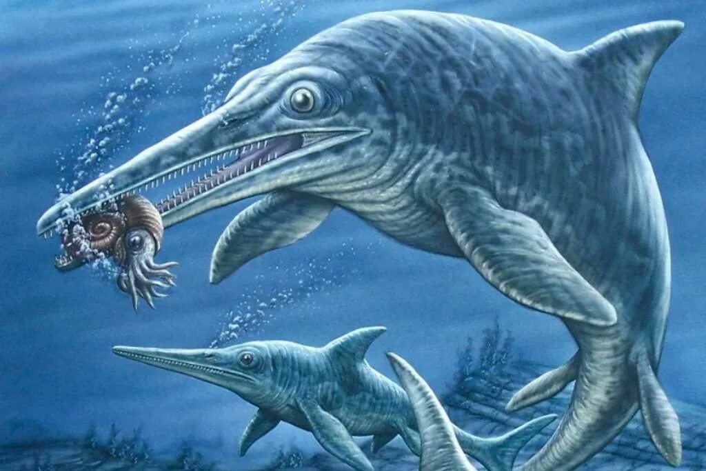 Ихтиозавры вторичноводные. Ихтиозавр мезозой. Ихтиозавр Эра. Мезозойская Эра ихтиозавры. Ихтиозавры, плезиозавры, мозазавры.