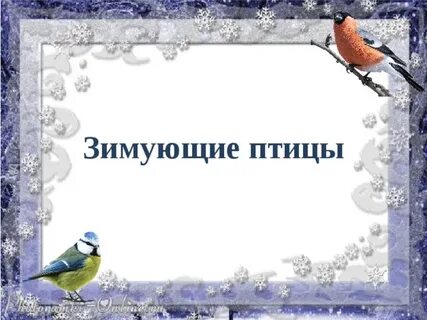 Презентация зимующие