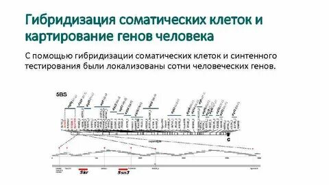 Результаты температурного картирования