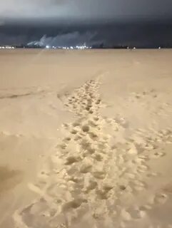 Новости с финского залива сегодня