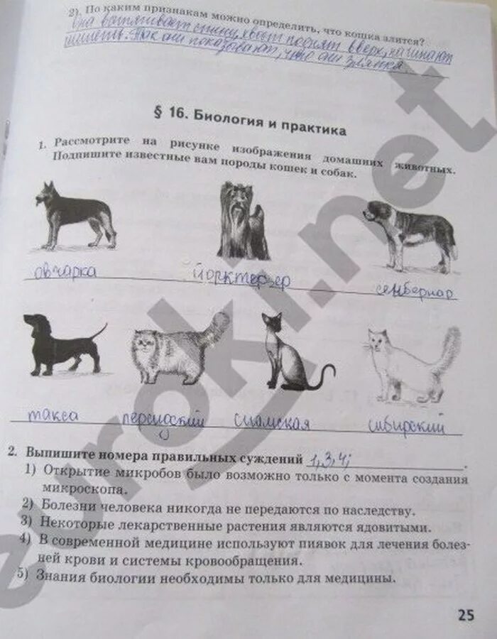 Домашнее задание 5 класс биология. Домашнее задание по биологии 5 класс животные. Рабочая тетрадь по биологии 5 класс. Рабочая тетрадь по биологии 5 класс Сивоглазов стр 25. Биология 5 класс стр 15 ответы