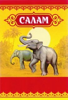 Салам класс