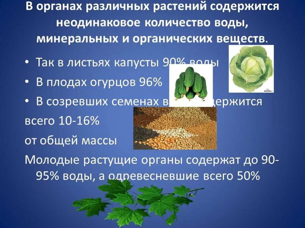 В каких растениях содержится соль. Содержание воды в растениях. Что содержится в растениях. Содержание воды в различных растениях. Химический состав организмов растений.