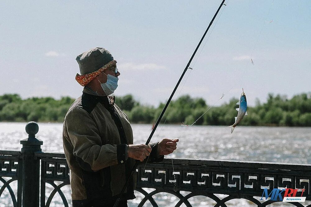 Рыбаки на набережной Астрахани. Улов рыбака Астрахань. Набережная Орел рыбаки. Астрахань рыбалка на набережной в сентябре. Улов рыбака астрахань интернет отзывы