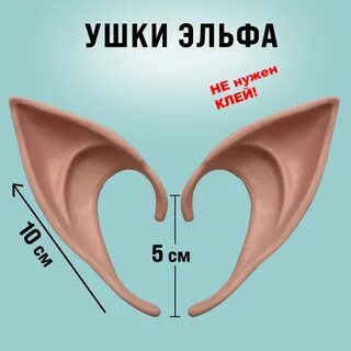 1 1 уши