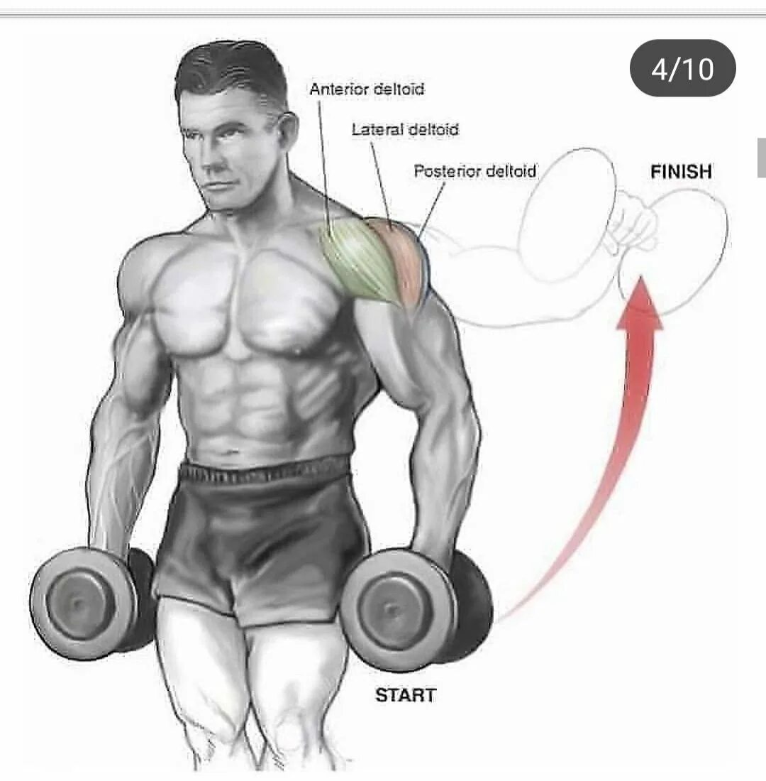 Гантели дельтовидные мышцы. Упражнения на дельтовидные мышцы. Упражнения на дельтовидные мышцы с гантелями. Упражнения на дельты. Дельтовидные мышцы плеч упражнения.