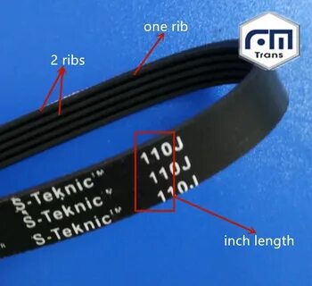 Rib belt