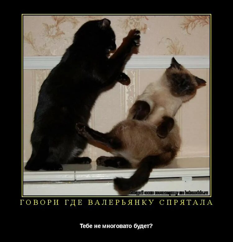 ты молилась на ночь дездемона. молись дездемона. молилась ли ты на ночь откуда. молилась ли ты на ночь. молилась ли ты на ночь.