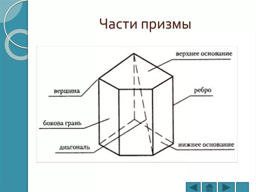 Треугольная Призма основные элементы. Треугольная Призма вершины ребра грани. Грань Призмы ребра и основания треугольной. Призма. Вершины, ребра, грани многогранника. Развертка.