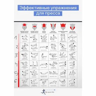 Программа тренировки пресса дома