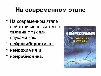 Нейрофизиология это