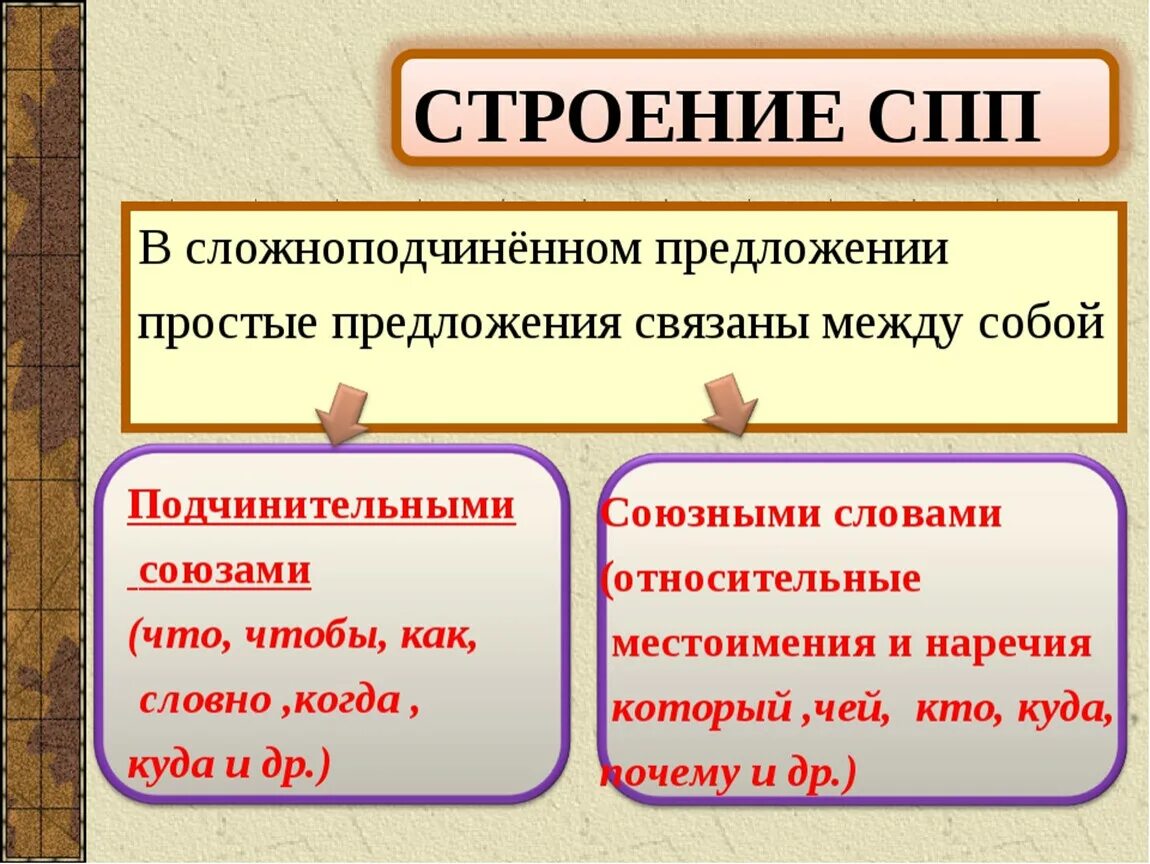 Сколько сложноподчиненных предложений