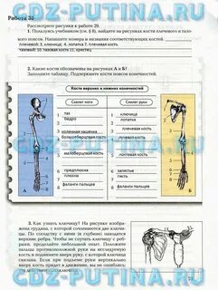 Тпо по биологии 8