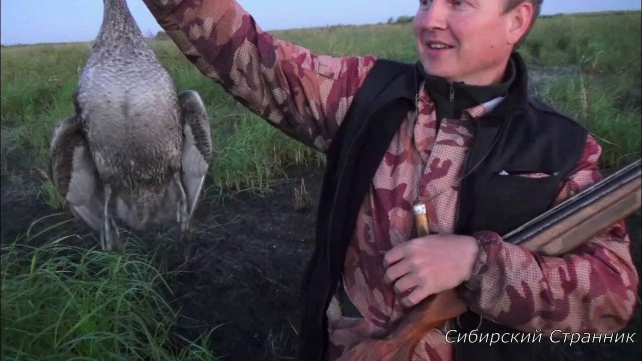 Я нашел и настрелял довольно много дичи