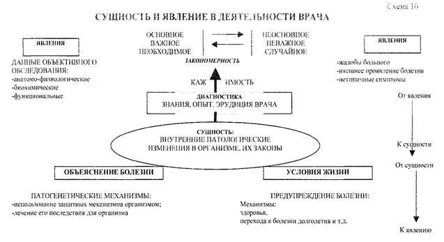 Категория сущность и явление. Категория сущность и явление. Необходимость и случайность примеры. Категории сущность и явление в философии. Сущность и явление.