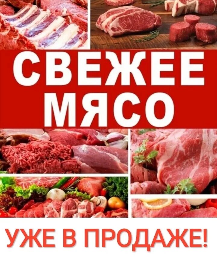 Свежее мясо реклама. Свежее мясо баннер. Мясо реклама. Свежее мясо реклама для магазина. Доставка свежести