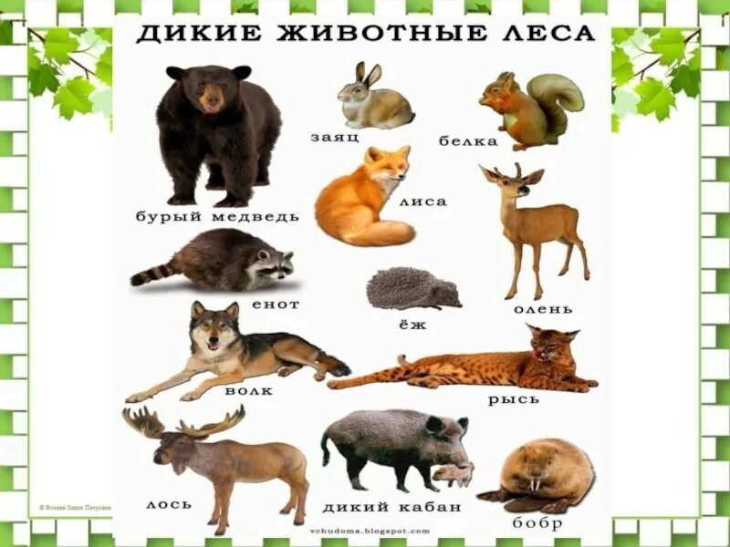 Название 2 3 животных