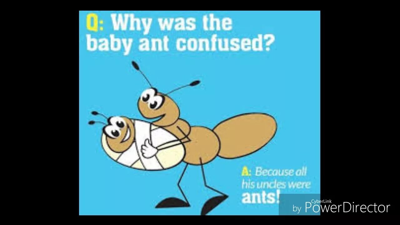 Включи jokes. Jokes in english for kids. funny kids jokes. english humour for beginners. british anecdotes.