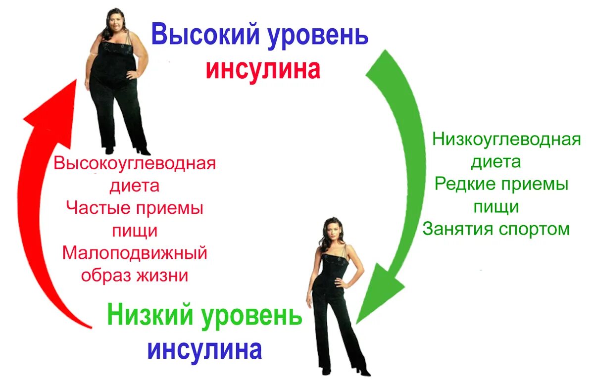 Как повышался уровень людей. Диета и уровень инсулина. Высокий инсулин и похудение. Инсулин и снижение веса. Повышение уровня инсулина при.