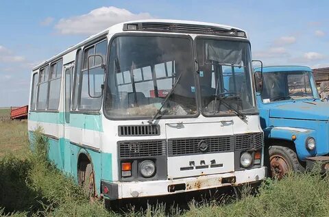 Оренбургская область автобусы