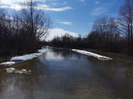 Погода мордовия карьга