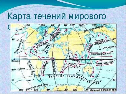Теплое течение в мировом океане название
