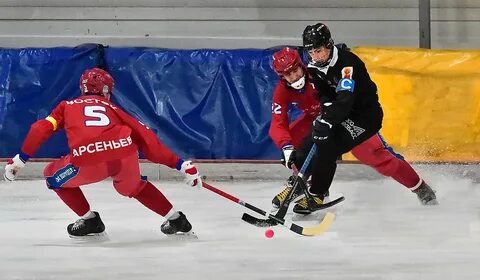 Хоккей с мячом чемпионат высшая лига