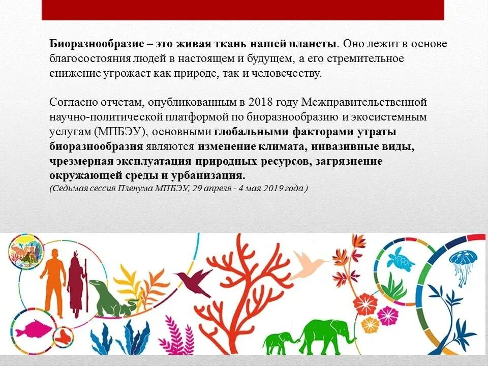 Как биологическое разнообразие зависит от природных условий